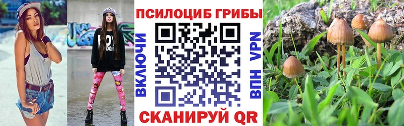 mega вход  Ишим  Псилоцибиновые грибы Magic Shrooms 